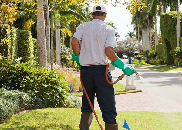 About Wentworth SD Pest Control